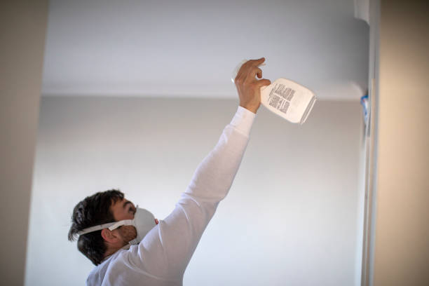 Best Local Mold Removal Service  in Lawnton, PA